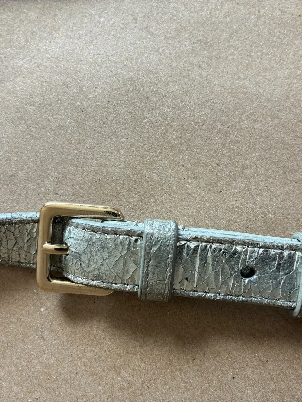 Dior Diorama Crackled Leather Flap Bag